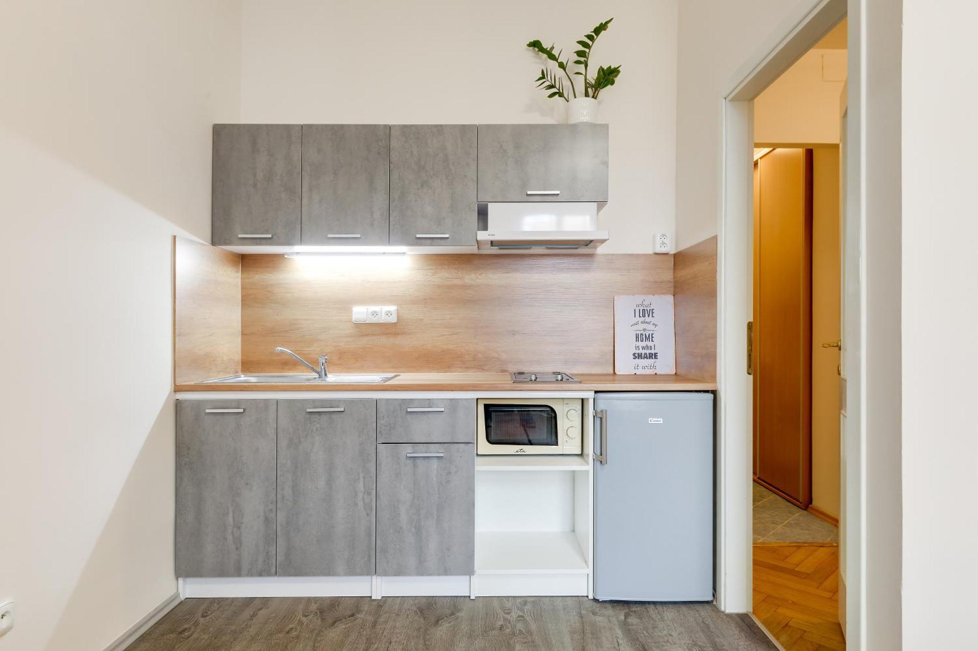 Vita Nejedleho Apartments Prag Dış mekan fotoğraf